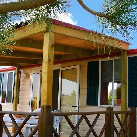 מלון פודגורה Camp Dole Zivogosce מראה חיצוני תמונה